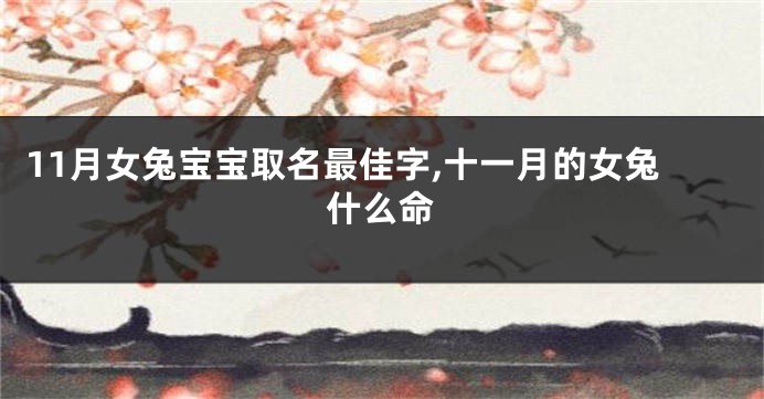 11月女兔宝宝取名最佳字,十一月的女兔什么命