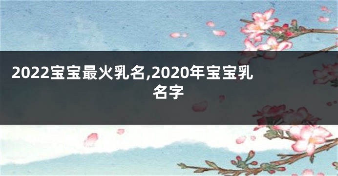 2022宝宝最火乳名,2020年宝宝乳名字