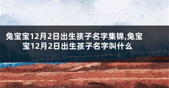 兔宝宝12月2日出生孩子名字集锦,兔宝宝12月2日出生孩子名字叫什么