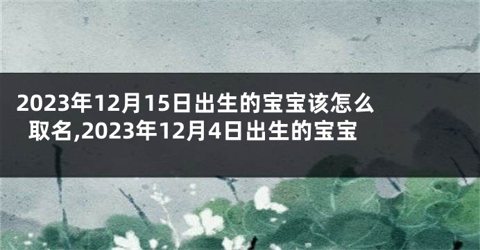 2023年12月15日出生的宝宝该怎么取名,2023年12月4日出生的宝宝