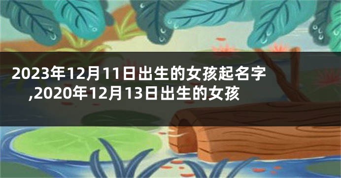 2023年12月11日出生的女孩起名字,2020年12月13日出生的女孩