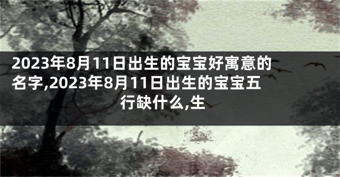 2023年8月11日出生的宝宝好寓意的名字,2023年8月11日出生的宝宝五行缺什么,生