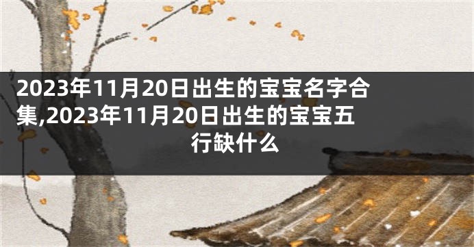 2023年11月20日出生的宝宝名字合集,2023年11月20日出生的宝宝五行缺什么
