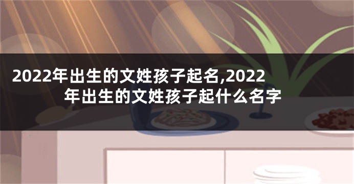 2022年出生的文姓孩子起名,2022年出生的文姓孩子起什么名字