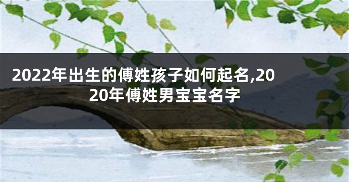 2022年出生的傅姓孩子如何起名,2020年傅姓男宝宝名字