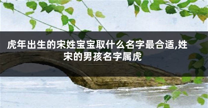 虎年出生的宋姓宝宝取什么名字最合适,姓宋的男孩名字属虎