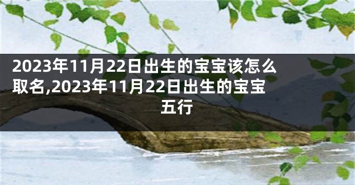 2023年11月22日出生的宝宝该怎么取名,2023年11月22日出生的宝宝五行