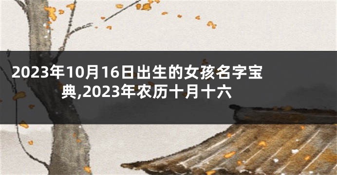 2023年10月16日出生的女孩名字宝典,2023年农历十月十六
