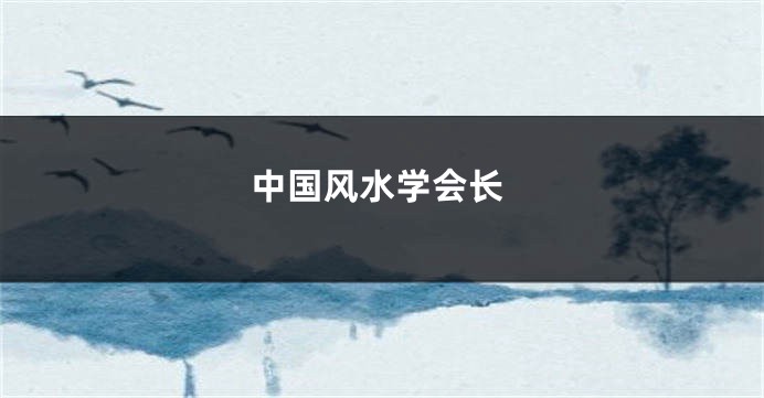 中国风水学会长