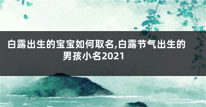 白露出生的宝宝如何取名,白露节气出生的男孩小名2021