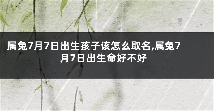 属兔7月7日出生孩子该怎么取名,属兔7月7日出生命好不好