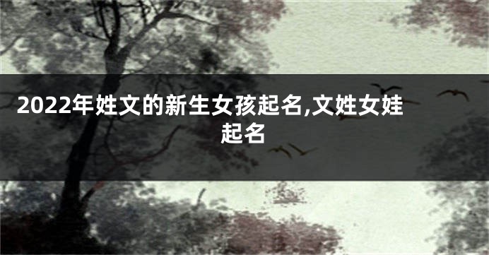 2022年姓文的新生女孩起名,文姓女娃起名