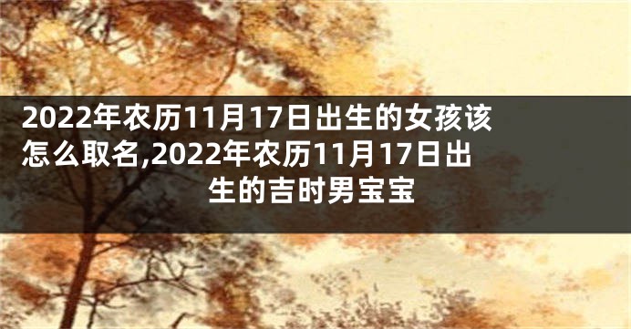 2022年农历11月17日出生的女孩该怎么取名,2022年农历11月17日出生的吉时男宝宝