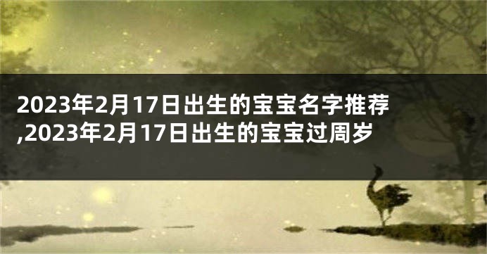 2023年2月17日出生的宝宝名字推荐,2023年2月17日出生的宝宝过周岁