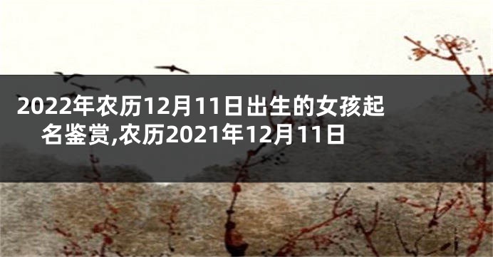 2022年农历12月11日出生的女孩起名鉴赏,农历2021年12月11日