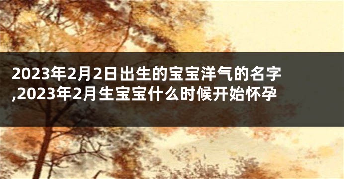 2023年2月2日出生的宝宝洋气的名字,2023年2月生宝宝什么时候开始怀孕