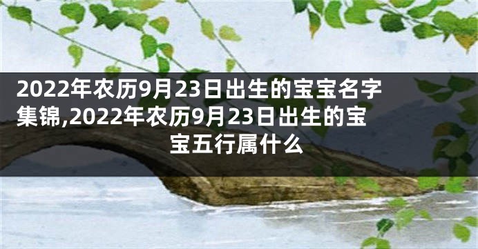 2022年农历9月23日出生的宝宝名字集锦,2022年农历9月23日出生的宝宝五行属什么