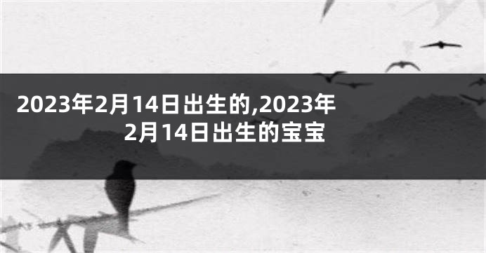 2023年2月14日出生的,2023年2月14日出生的宝宝