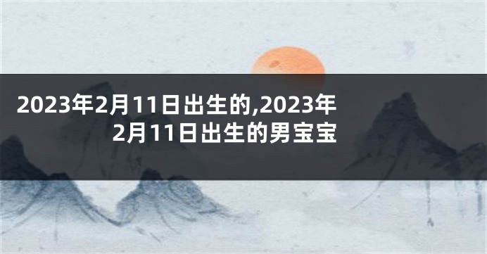 2023年2月11日出生的,2023年2月11日出生的男宝宝