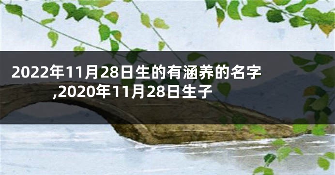 2022年11月28日生的有涵养的名字,2020年11月28日生子