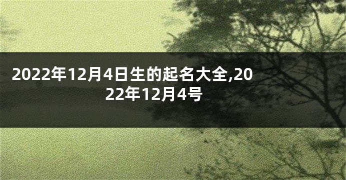 2022年12月4日生的起名大全,2022年12月4号