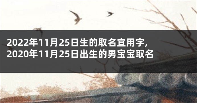 2022年11月25日生的取名宜用字,2020年11月25日出生的男宝宝取名