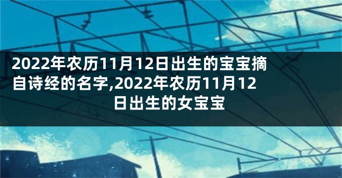2022年农历11月12日出生的宝宝摘自诗经的名字,2022年农历11月12日出生的女宝宝