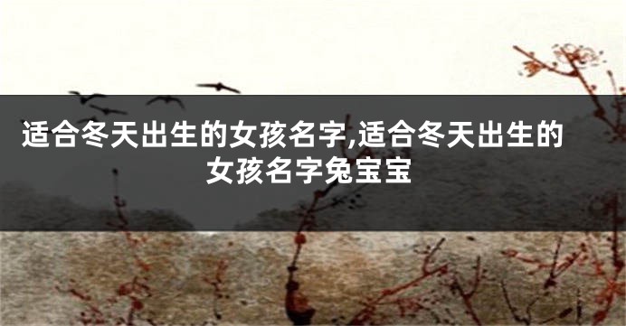适合冬天出生的女孩名字,适合冬天出生的女孩名字兔宝宝
