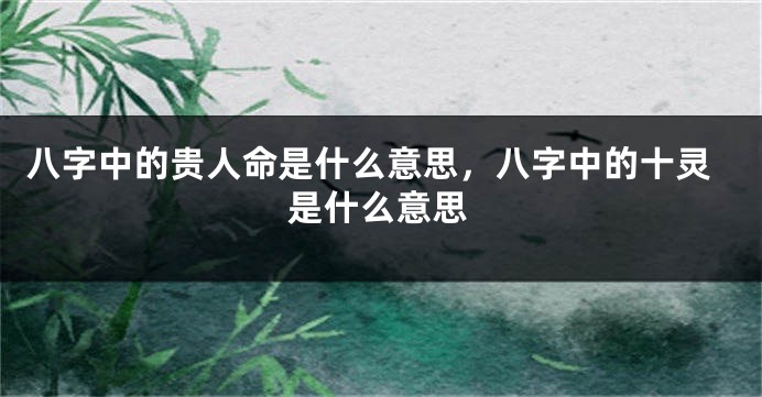 八字中的贵人命是什么意思,八字中的十灵是什么意思