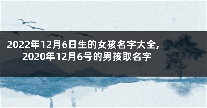 2022年12月6日生的女孩名字大全,2020年12月6号的男孩取名字