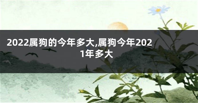 2022属狗的今年多大,属狗今年2021年多大