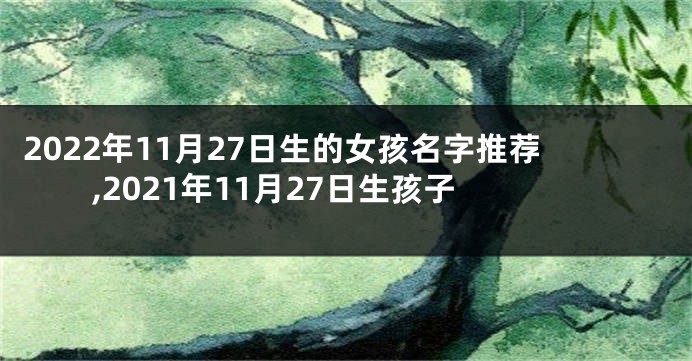 2022年11月27日生的女孩名字推荐,2021年11月27日生孩子