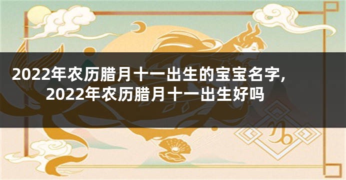 2022年农历腊月十一出生的宝宝名字,2022年农历腊月十一出生好吗