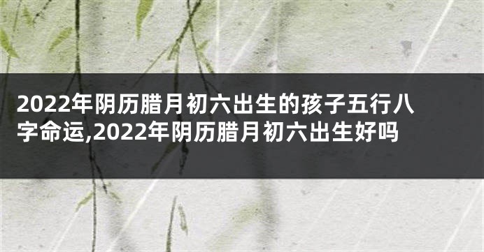 2022年阴历腊月初六出生的孩子五行八字命运,2022年阴历腊月初六出生好吗