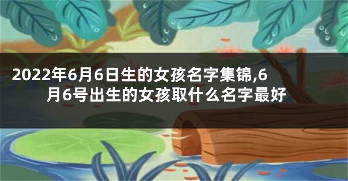 2022年6月6日生的女孩名字集锦,6月6号出生的女孩取什么名字最好