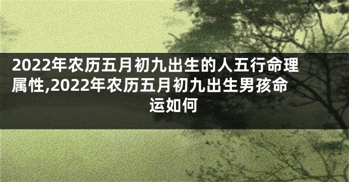 2022年农历五月初九出生的人五行命理属性,2022年农历五月初九出生男孩命运如何